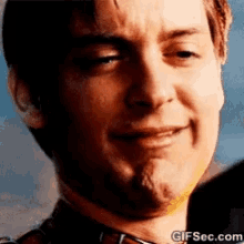 Spider Man Toby Mcguire GIF - Spider Man Toby Mcguire Cry GIFs