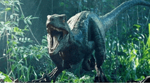 a dinosaur is walking through the woods with its mouth open