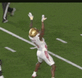 a group of football players are celebrating a touchdown on the field .