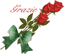grazie roses red rose for you