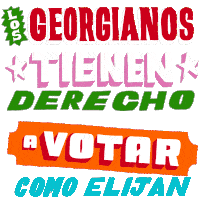 Georgia Georgia Voter Sticker - Georgia Georgia Voter Georgia Voting Stickers
