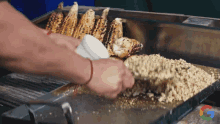 elotes asados comida callejera elote en vaso esquite mexico