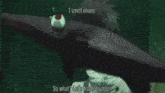 a bunch of bugs are flying around a tree with the words `` cheap stuff ! cheap stuff ! '' written on the bottom