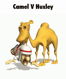 Camel Vs Huxley Zoin Coin GIF - Camel Vs Huxley Zoin Coin Limansk Camel GIFs