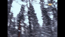 a blurry picture of a snowy forest with trees covered in snow and a tnt logo in the corner .