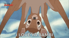Bambi Blinking GIF - Bambi Blinking Peek GIFs