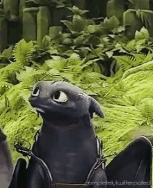 toothless from how to train your dragon is sitting in a field of ferns