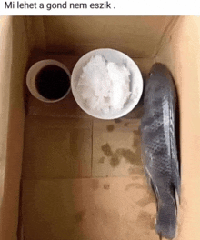 a cardboard box with a bowl of ice and a bowl of coffee