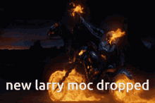 New Larry Moc Dropped New GIF - New Larry Moc Dropped New Larry GIFs