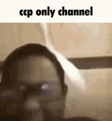 Ccp Certified Cool Person GIF - Ccp Certified Cool Person Channel GIFs
