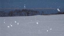 snowflakes are falling in a field with trees in the background