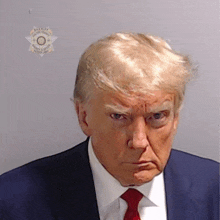 Trumpmughshot GIF - Trumpmughshot GIFs