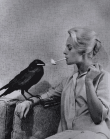 Smoking Tippi Hed Crows The Birds GIF