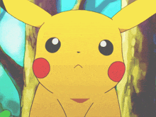 a close up of a pikachu with red cheeks looking at the camera