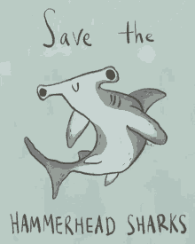 hammerhead shark saving