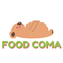 koala food food coma sleeping brown bear