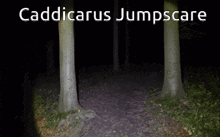Caddicarus Jumpscare GIF - Caddicarus Jumpscare GIFs