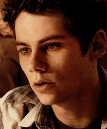 a close up of a young man 's face with the word halewolf on the bottom right corner