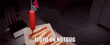 Floydonhothog Floyd On Hot Dog GIF