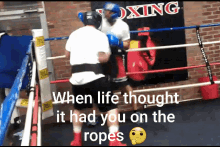 boxing life