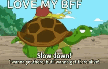 snail turtle slow down ride buddies