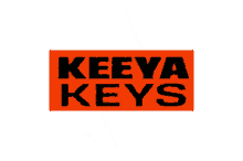 keeya keys t90 freestyle logo spin