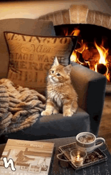 Cat Fireplace GIF - Cat Fireplace GIFs