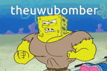 uwubomber theuwubomber uwu bomber muscles