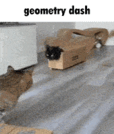 two cats are playing with a cardboard box that says geometry dash on the bottom