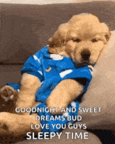a puppy wearing a blue shirt is sleeping on a couch and says goodnight and sweet dreams bud