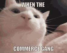Commerce Gang GIF