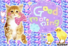 Cat Good Morning GIF - Cat Good Morning Good Morning Cat GIFs