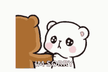 im sorry milk and mocha bear apologize bear