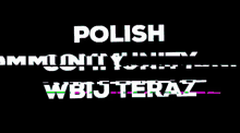 Polish Community Glitch GIF - Polish Community Glitch Text GIFs