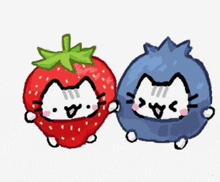 a drawing of a strawberry and blueberry with cats on them