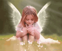 Angel Angel Wings GIF - Angel Angel Wings Butterflies GIFs