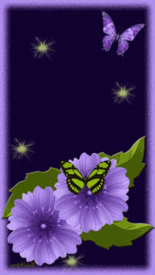 Happy June Purple Flower GIF - Happy June Purple Flower Butterflies GIFs