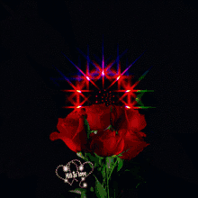 flowers roses lights love hearts