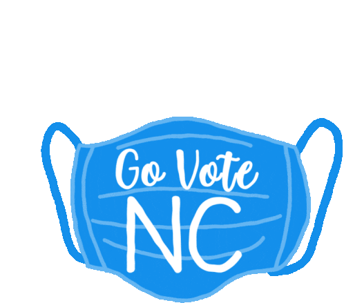 Raleigh Voter North Carolina Sticker - Raleigh Voter North Carolina North Carolina State Stickers
