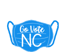 Raleigh Voter North Carolina Sticker - Raleigh Voter North Carolina North Carolina State Stickers