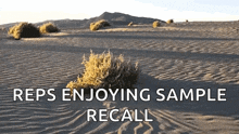 Tumbleweed Barren GIF - Tumbleweed Barren Desert GIFs