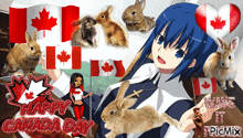 a girl holding a rabbit in front of a canadian flag and the words happy canada day