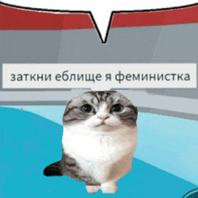 a cat is standing in front of a speech bubble that says " zatkni eblishe a feministka "