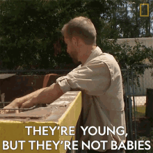 Theyre Young But Theyre Not Babies Ryan GIF - Theyre Young But Theyre Not Babies Ryan When Nature Calls GIFs