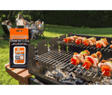 Bbq Skewers Safe Grill Brush GIF