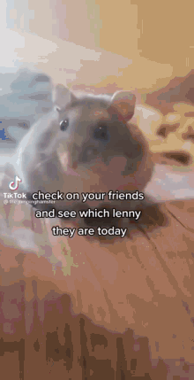 Lenny Rat Suicidal Rat GIF - Lenny Rat Suicidal Rat So Funny GIFs