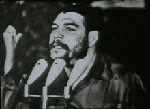 a man with a beard and mustache is speaking into two microphones