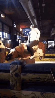 Rodeo Any GIF - Rodeo Any Amy GIFs