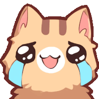 a cat with tears coming out of its eyes