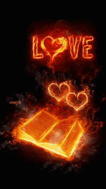love soulmate heart book flame
